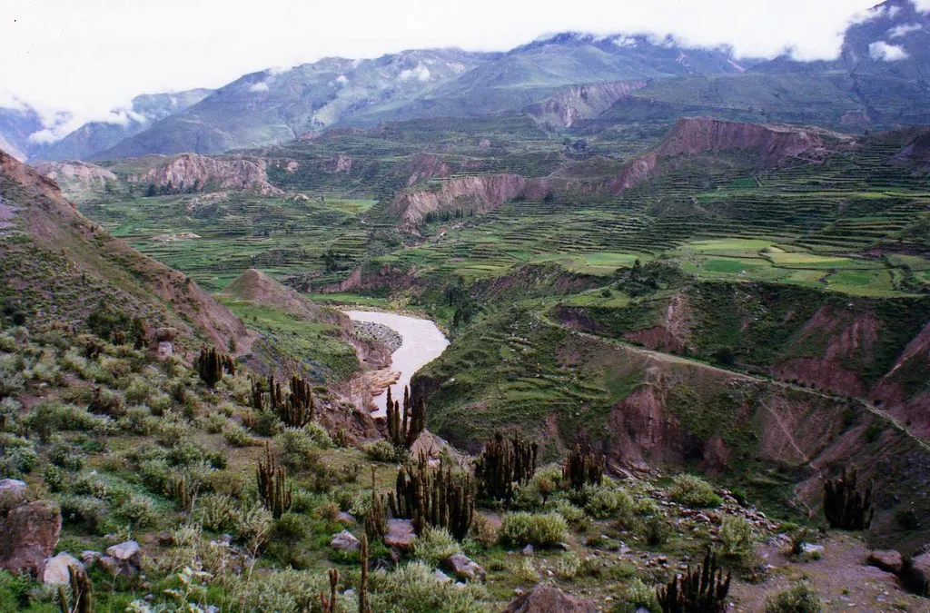 Cañón del Colca, Arequipa, Perú